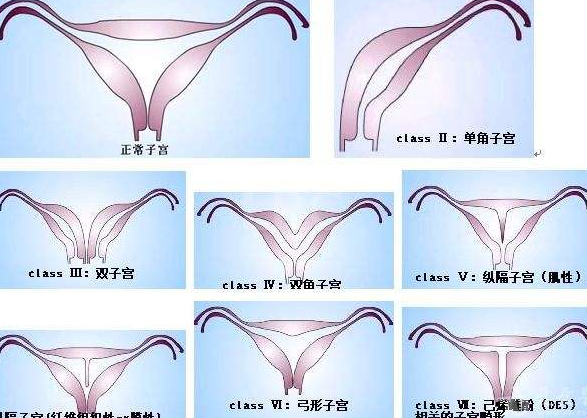 了解在泰国做试管冻卵全部开销要多少？