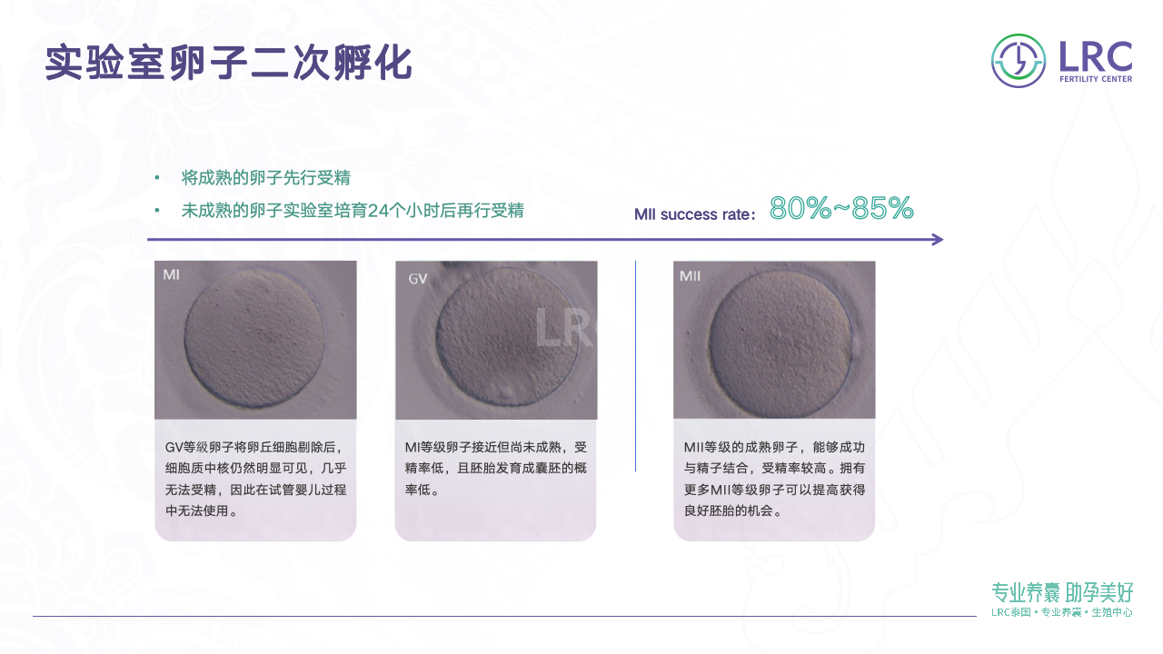 泰国LRC生殖中心10大核心技术 | 温和促排·专业养囊·基因筛查全解析