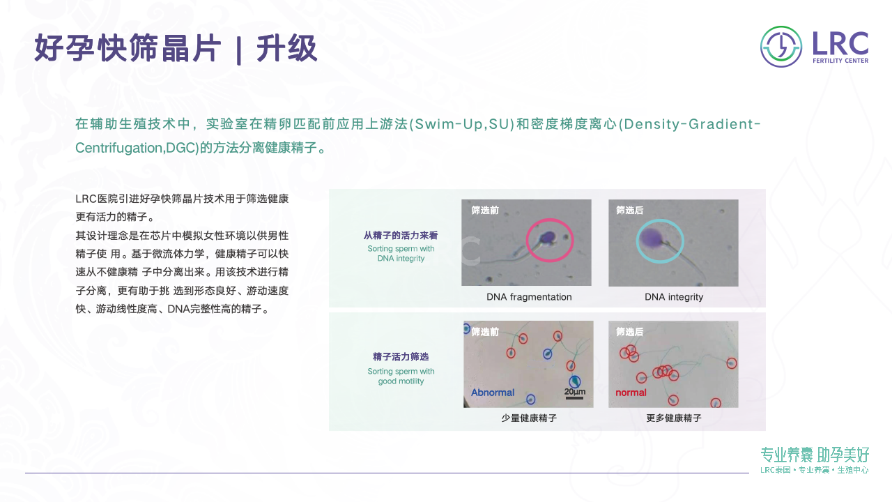 泰国LRC生殖中心10大核心技术 | 温和促排·专业养囊·基因筛查全解析