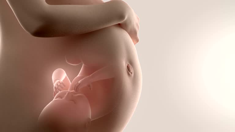 子宫息肉做试管婴儿多少钱？