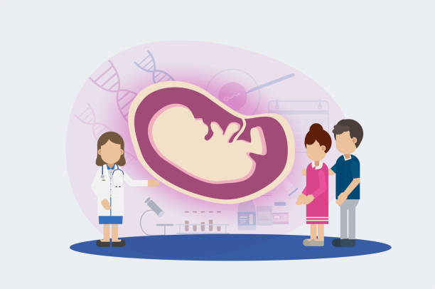 双角子宫可以做三代试管婴儿吗？
