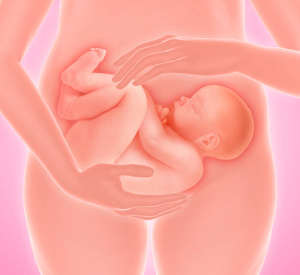子宫内膜薄做第三代试管婴儿费用是多少？