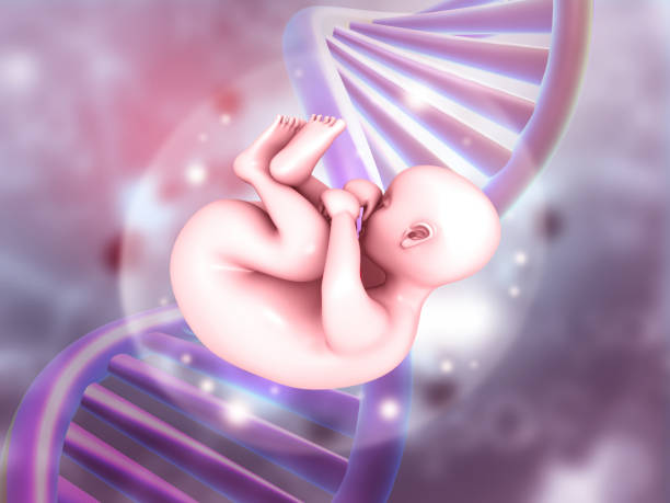 卵巢功能性囊肿做第三代试管婴儿价格是多少？