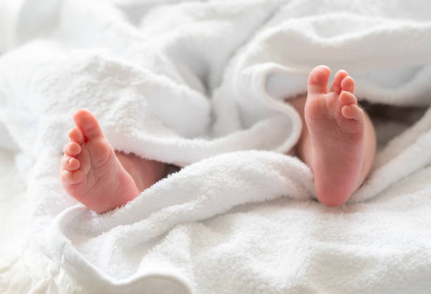 子宫腺肌症做试管婴儿价格是多少？