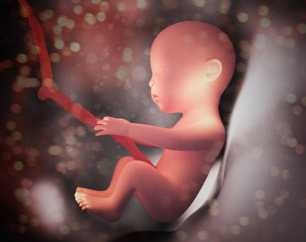 子宫发育不全做试管婴儿多少钱？