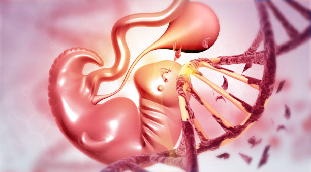 子宫腺肌症做试管婴儿费用是多少？