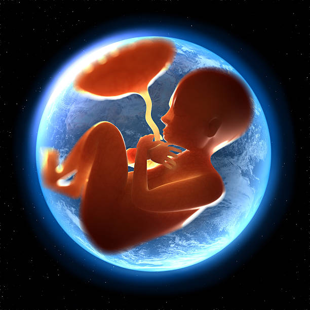 子宫内膜异位做第三代试管婴儿价格是多少？