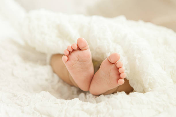 杜氏肌营养不良症做试管婴儿费用是多少？