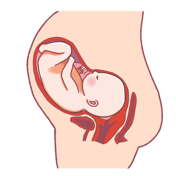 梗阻性无精子症做试管价格是多少？