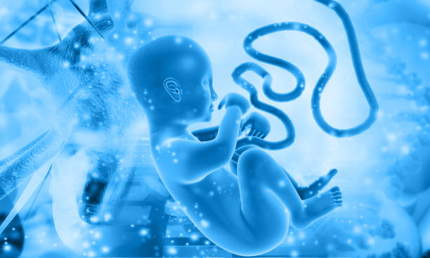子宫肌瘤做泰国试管婴儿多少钱？
