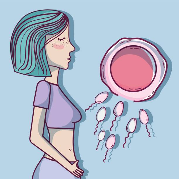 双角子宫在哪里做试管婴儿？