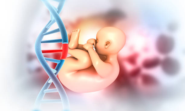 子宫内膜薄在哪里做泰国试管婴儿？